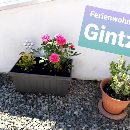 Ferienwohnung Haus Gintz بليزكاستل المظهر الخارجي الصورة