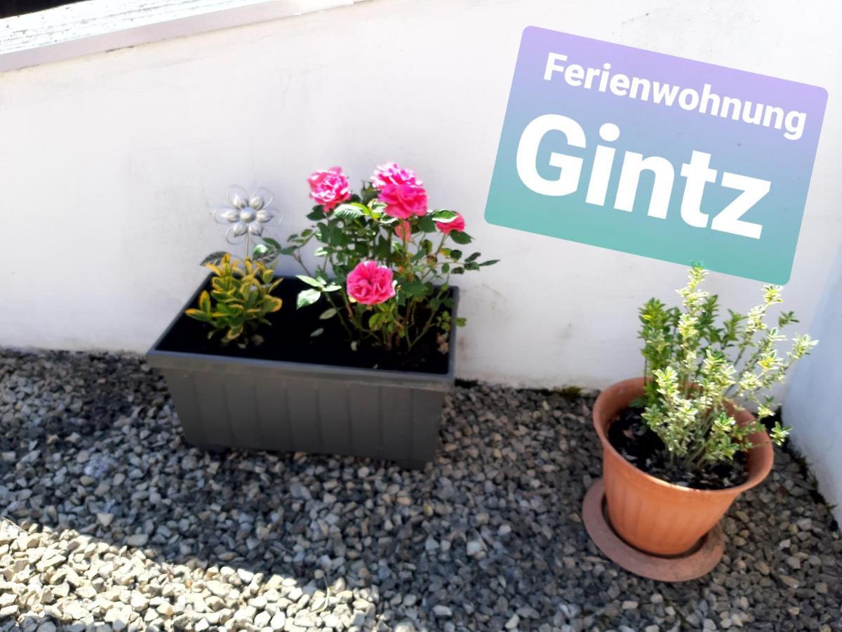 Ferienwohnung Haus Gintz بليزكاستل المظهر الخارجي الصورة