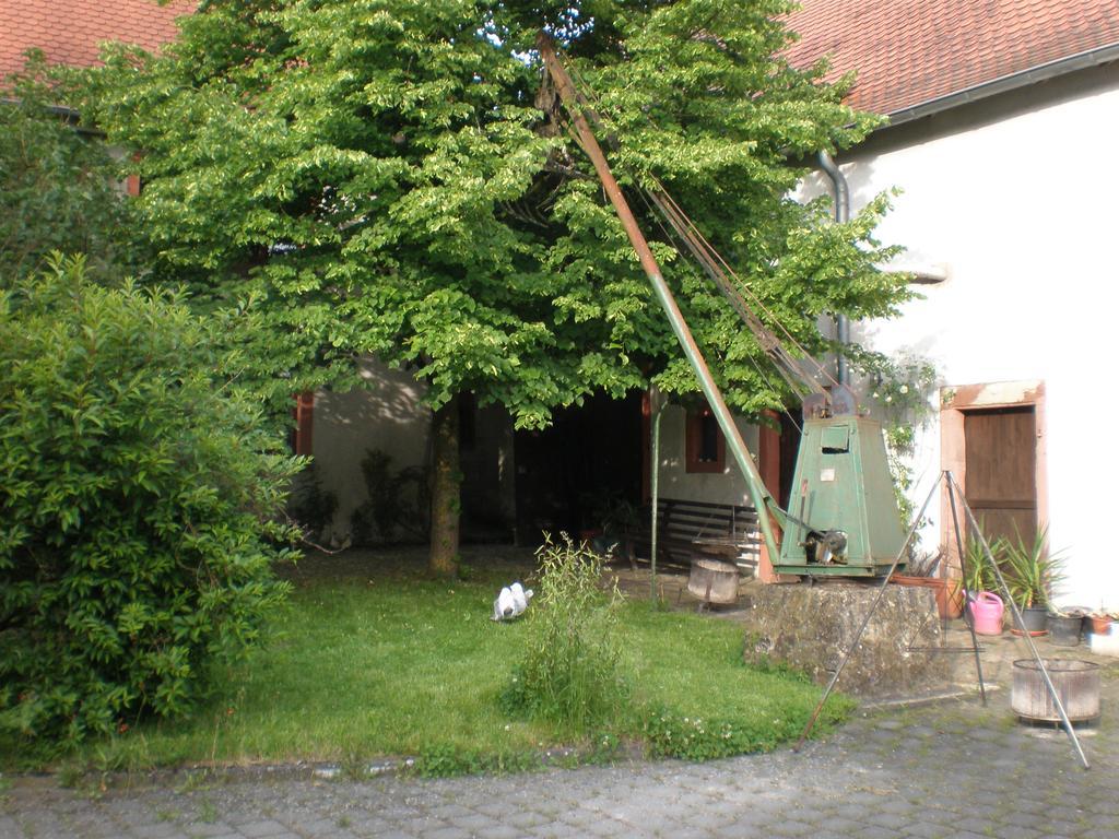 Ferienwohnung Haus Gintz بليزكاستل المظهر الخارجي الصورة