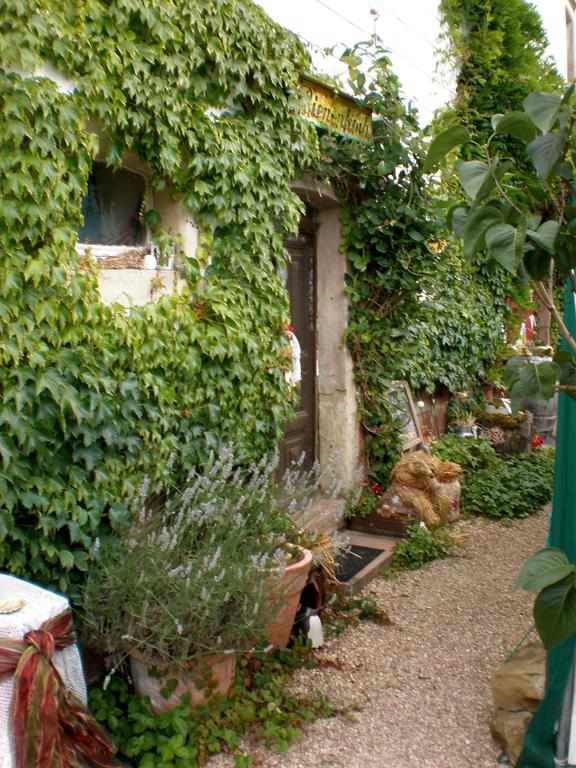 Ferienwohnung Haus Gintz بليزكاستل المظهر الخارجي الصورة