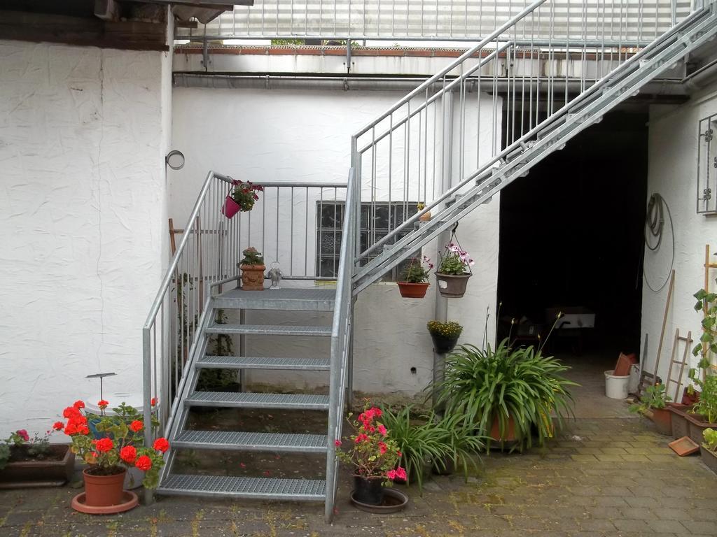 Ferienwohnung Haus Gintz بليزكاستل المظهر الخارجي الصورة