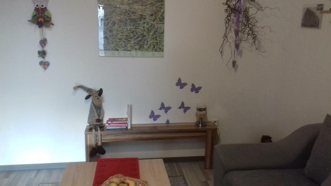 Ferienwohnung Haus Gintz بليزكاستل المظهر الخارجي الصورة